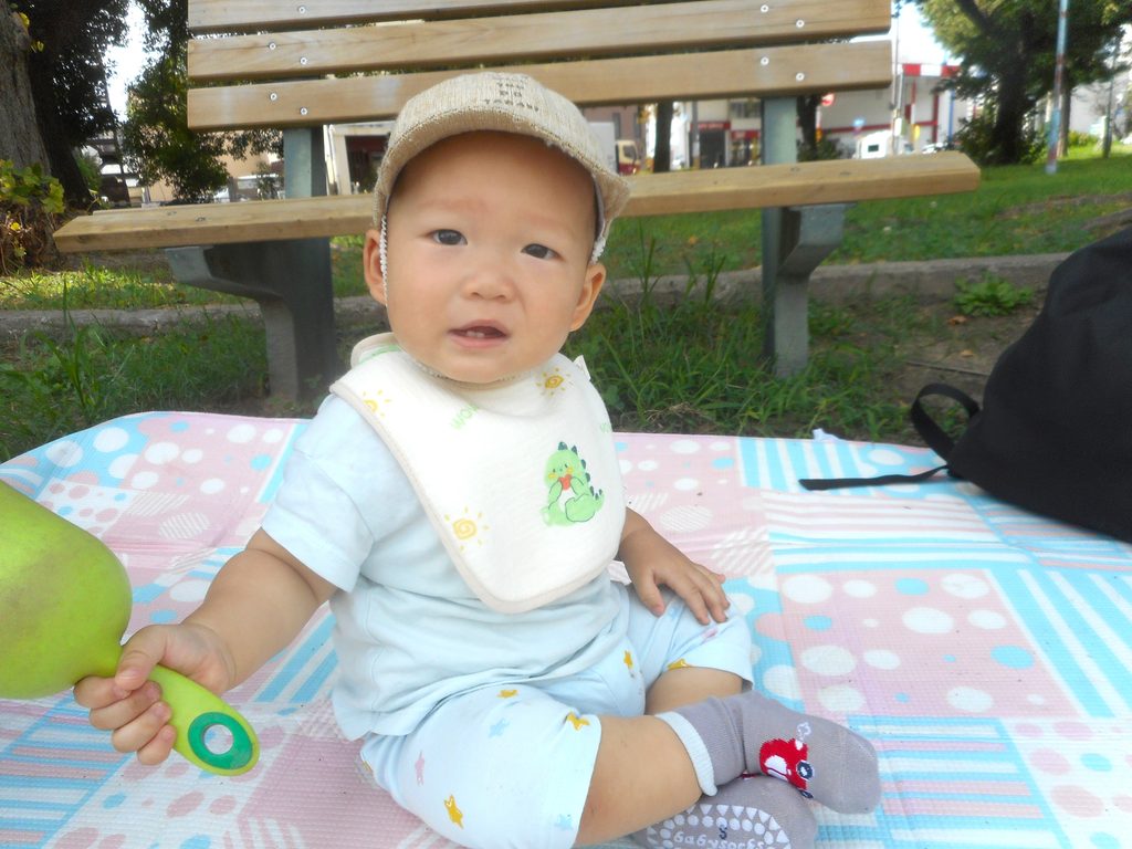 秋　公園で外遊び　大阪　保育園　くじら保育園　202610-2