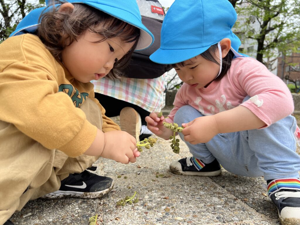 くじら保育園　上新庄園　紹介　2024-10