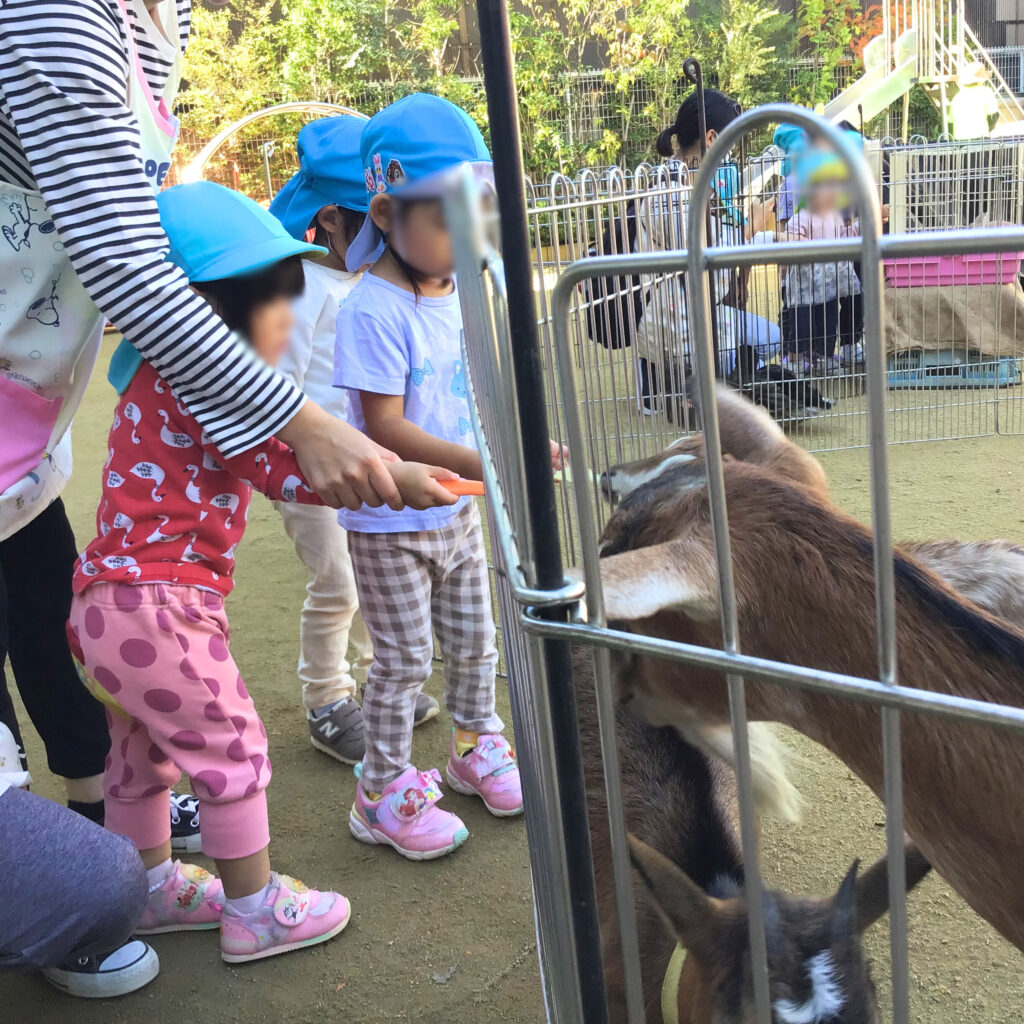 くじら保育園　上新庄園　移動動物園　ふれあい体験　202410-3