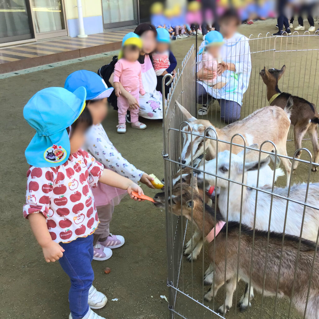 くじら保育園　上新庄園　移動動物園　ふれあい体験　202410-4