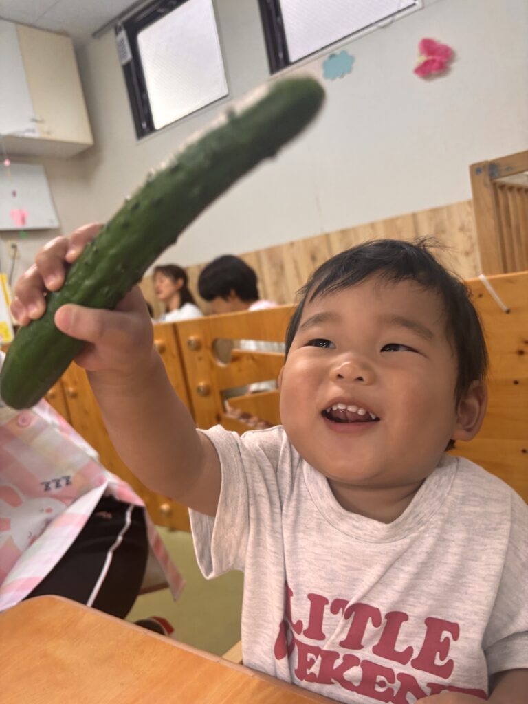 苗植え 食育 栽培 きゅうり くじら保育園 上新庄 202505-1