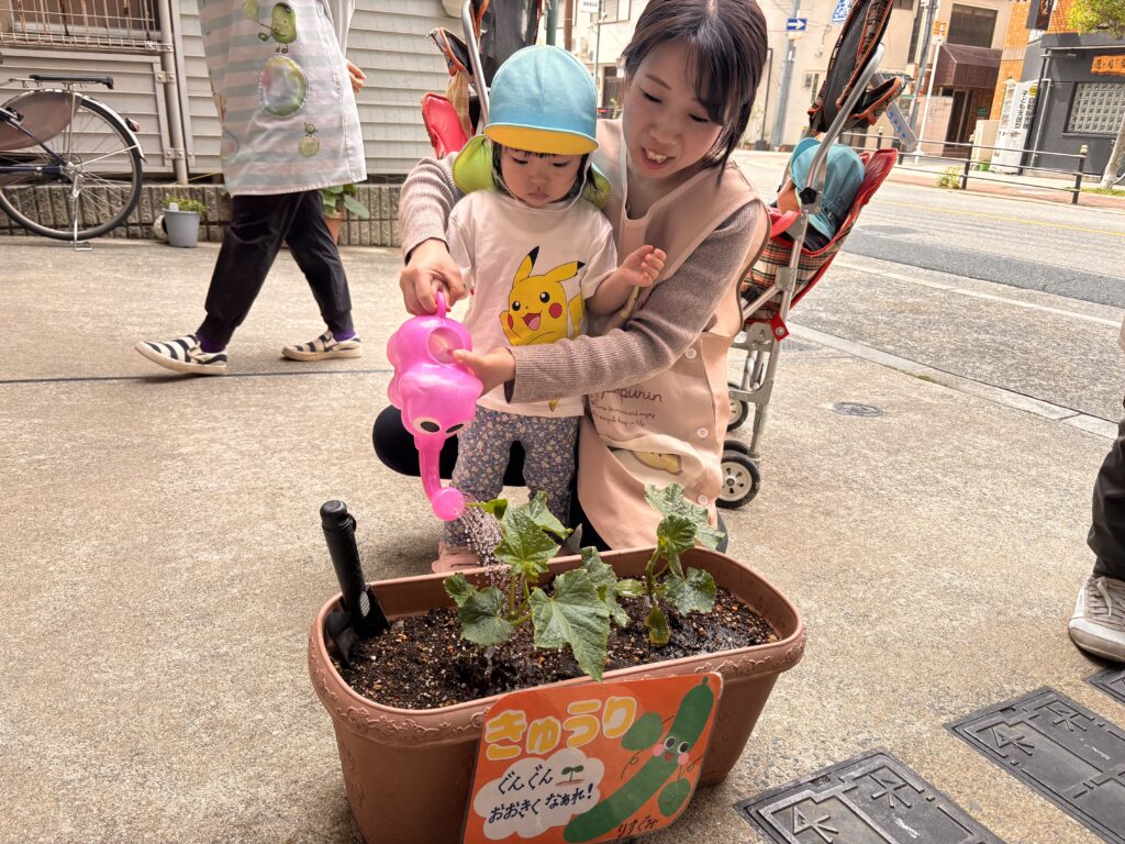 苗植え 食育 栽培 きゅうり くじら保育園 上新庄 202505-4
