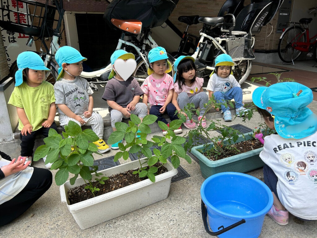 ダンゴムシ探し 野菜栽培 自然 ピーマン 枝豆 食育 くじら保育園 上新庄園 202506-3