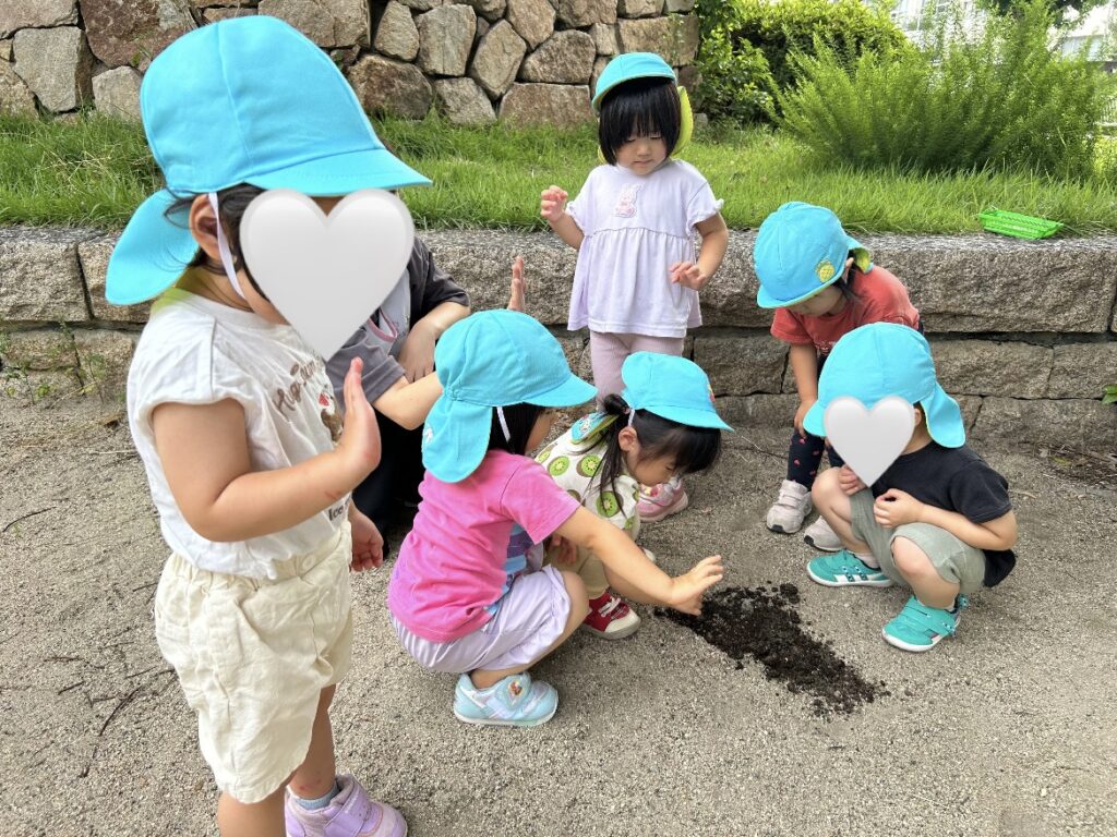 アクアプレイ 水遊び ビニールプール ダンゴムシ バッタ くじら保育園 上新庄園 202507-4