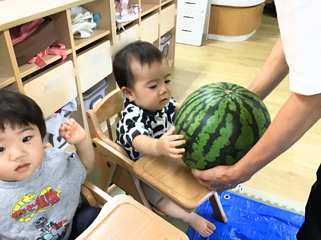 すいか割り　すいか　スイカ　保育園　大阪　上新庄　くじら保育園　202508-1