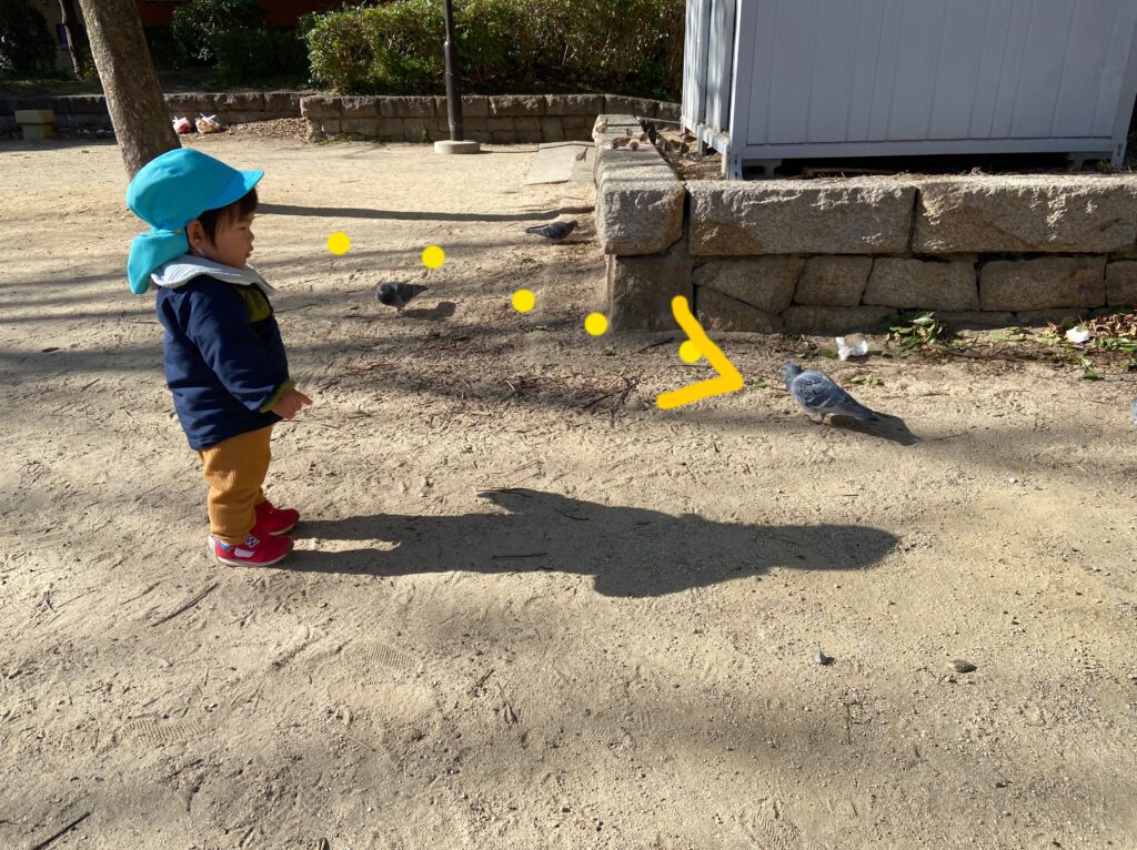 0歳が初めての凧揚げに挑戦 大阪 保育園 くじら保育園 202601-6