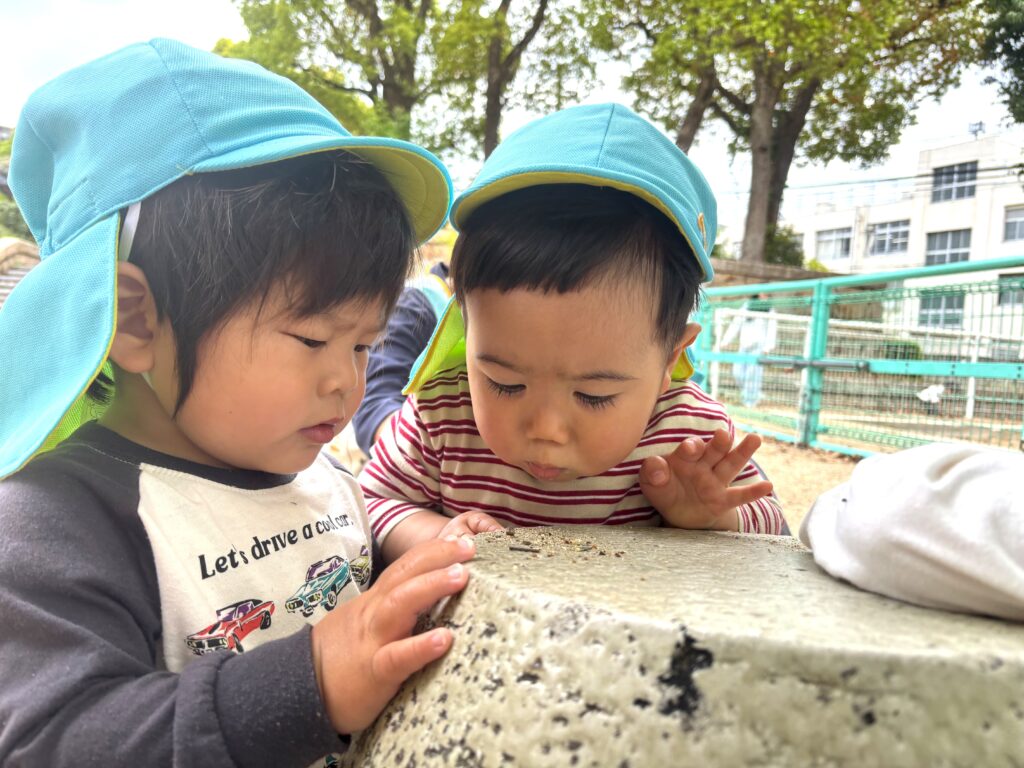 公園探検でダンゴムシ探しに夢中な子どもたち　大阪　保育園　くじら保育園　202604-3