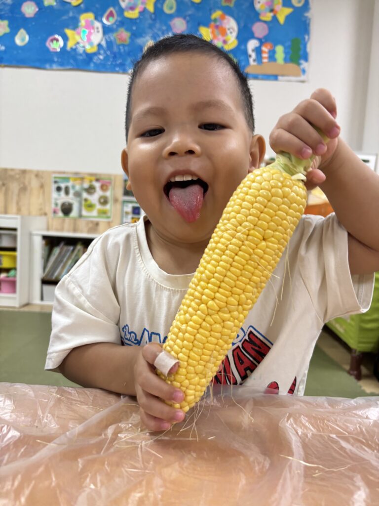 夏の食育 とうもろこし 大阪　保育園　くじら保育園　202608-3