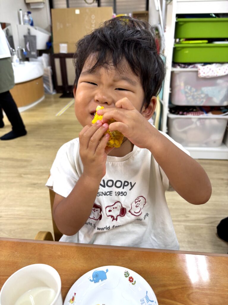 夏の食育 とうもろこし 大阪　保育園　くじら保育園　202608-5