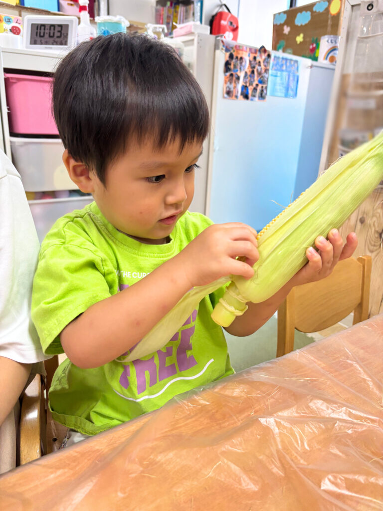 夏の食育 とうもろこし 大阪　保育園　くじら保育園　202608-1
