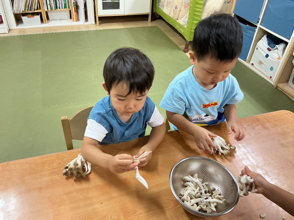 保育園の食育　野菜栽培　大阪　くじら保育園　202610-3