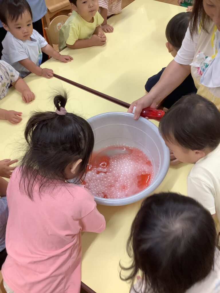 くじら保育園　三国園　紹介2024-9