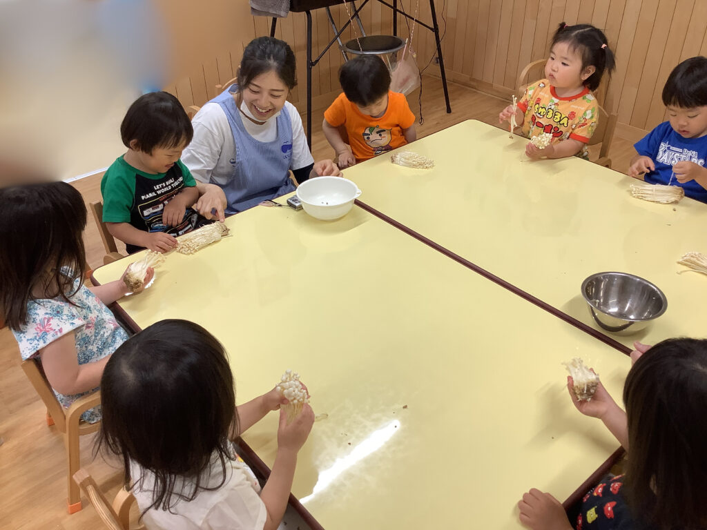 えのき　栽培　食育　体験　給食　調理師　くじら保育園　三国園　淀川区　202505-3