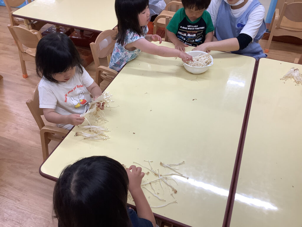 えのき　栽培　食育　体験　給食　調理師　くじら保育園　三国園　淀川区　202505-4