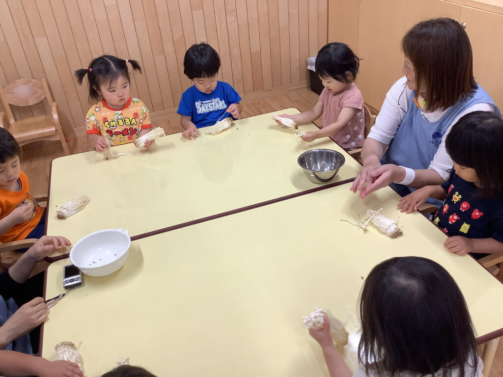 えのき　栽培　食育　体験　給食　調理師　くじら保育園　三国園　淀川区　202505-5