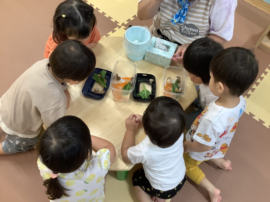 メダカ 飼育 お世話 命 学ぶ くじら保育園 三国園 淀川区 大阪 保育園 202508-1