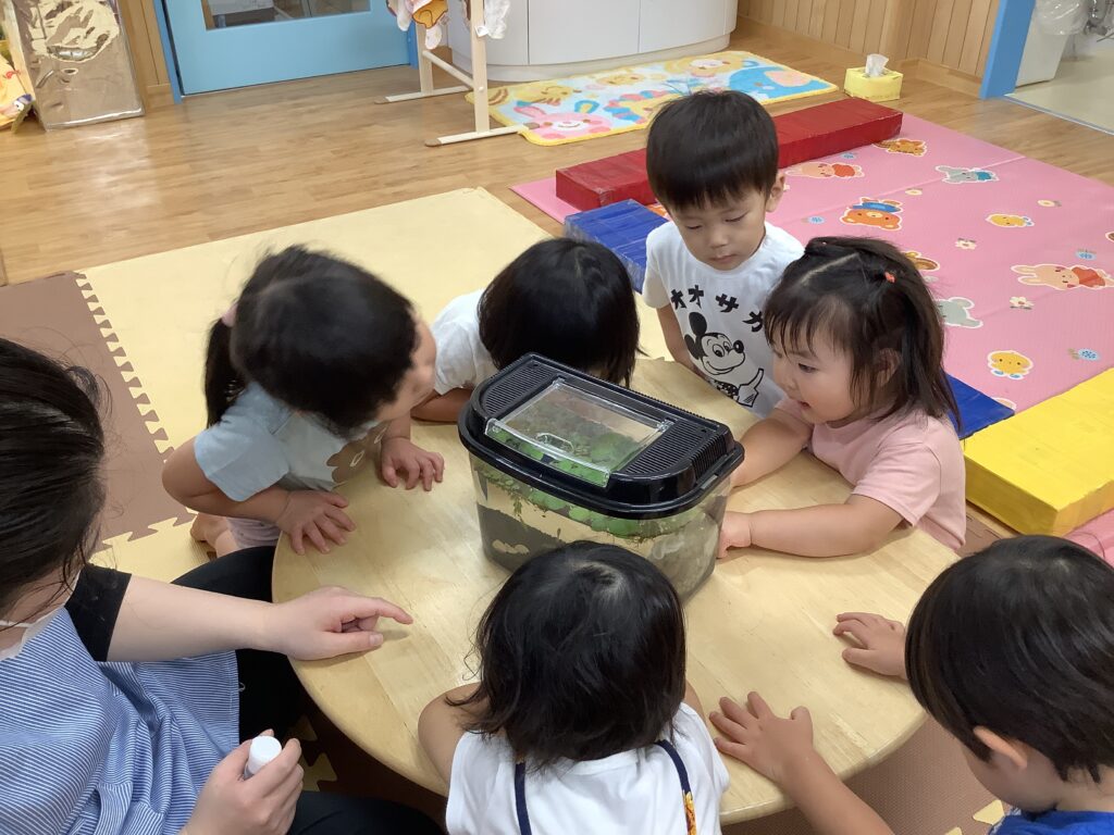 メダカ 飼育 お世話 命 学ぶ くじら保育園 三国園 淀川区 大阪 保育園 202508-2