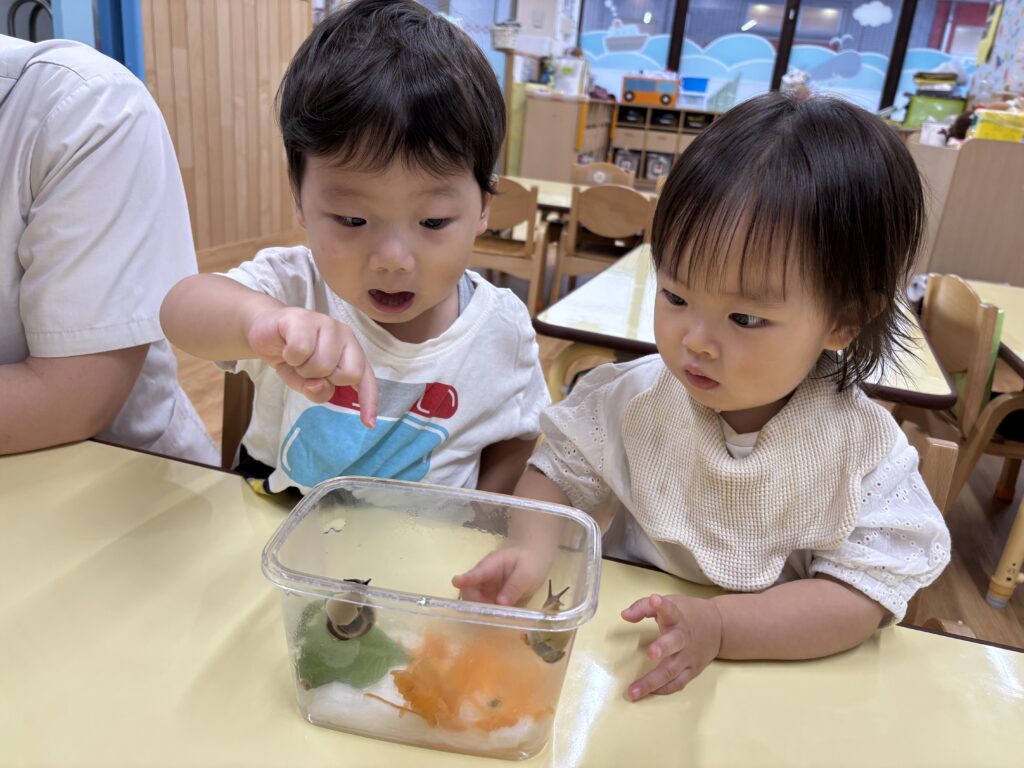 メダカ 飼育 お世話 命 学ぶ くじら保育園 三国園 淀川区 大阪 保育園 202508-5