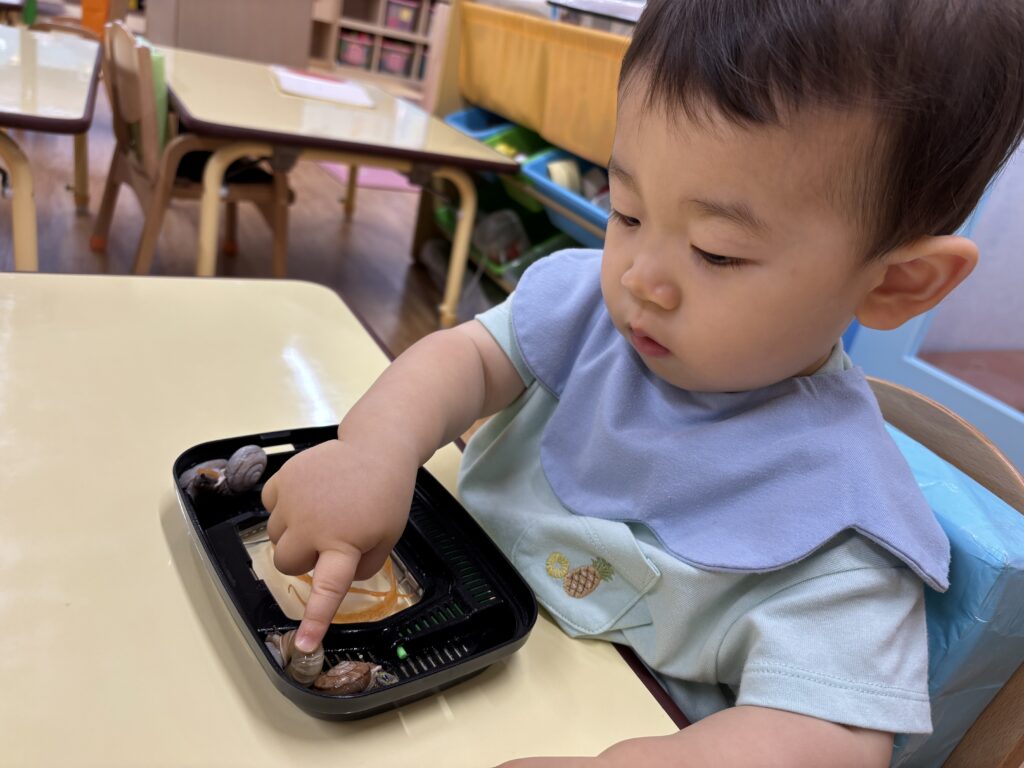 メダカ 飼育 お世話 命 学ぶ くじら保育園 三国園 淀川区 大阪 保育園 202508-4