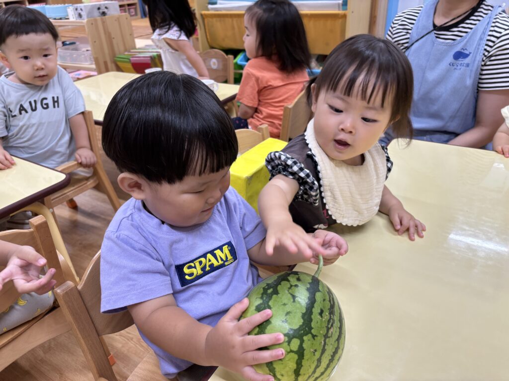すいか 給食 食育 大阪 保育園 くじら保育園 三国 淀川区 202509-1