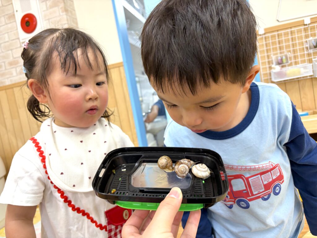 保育園雨の日　サーキット遊び　カタツムリのお世話　大阪　くじら保育園　202605-4