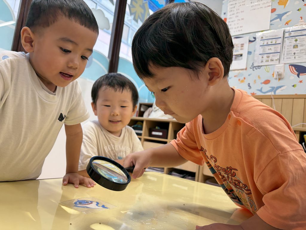 保育園　飼育　観察　お世話　カタツムリ　大阪　くじら保育園　202610-2