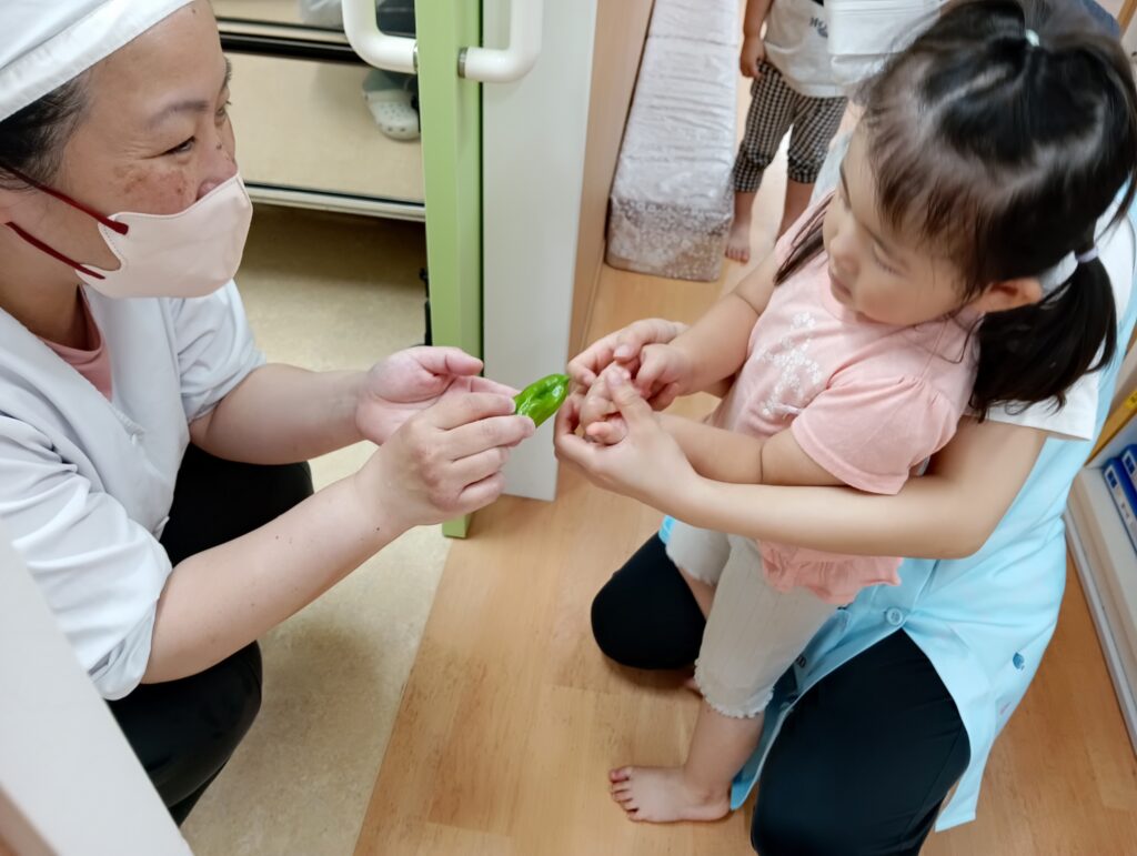 食育　夏野菜　栽培　苗植え　収穫　ピーマン　給食　くじら保育園　都島北　都島区　大阪　202508-3