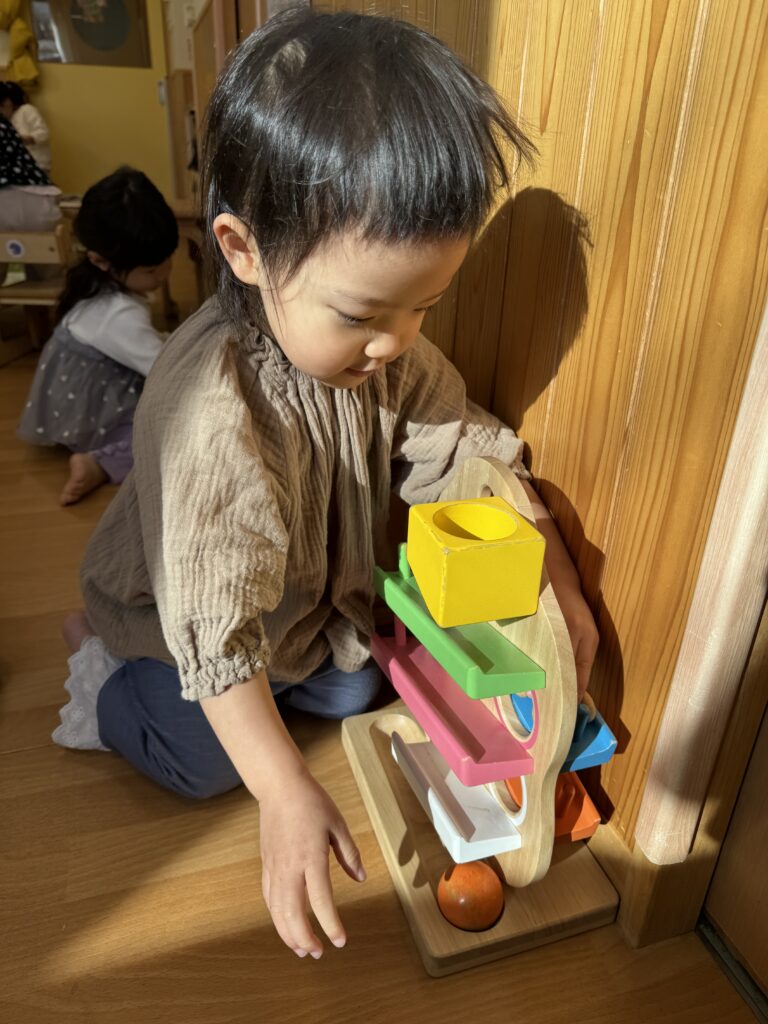 大阪　保育園　くじら保育園　連携園との交流　鰤の解体ショー　20512-3