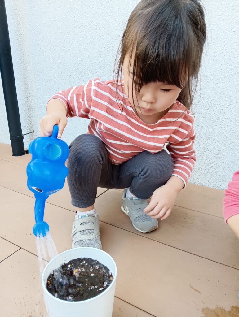 保育園でチューリップ栽培体験　大阪　くじら保育園　202603-5