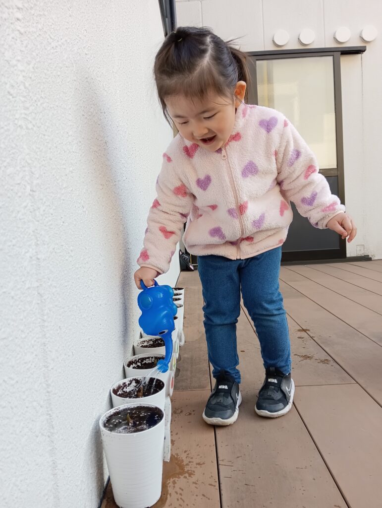 保育園でチューリップ栽培体験　大阪　くじら保育園　202603-6