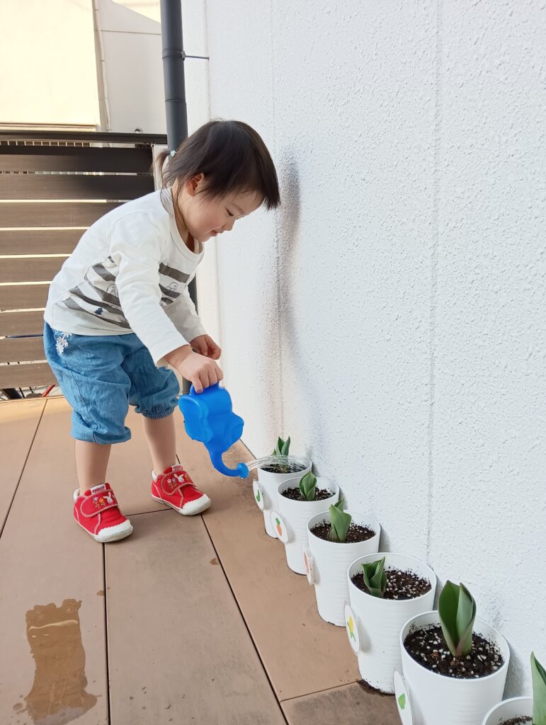 保育園でチューリップ栽培体験　大阪　くじら保育園　202603-3