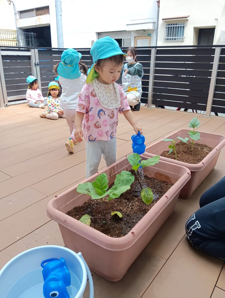 保育園の食育で夏野菜苗植え 大阪 くじら保育園 202605-5
