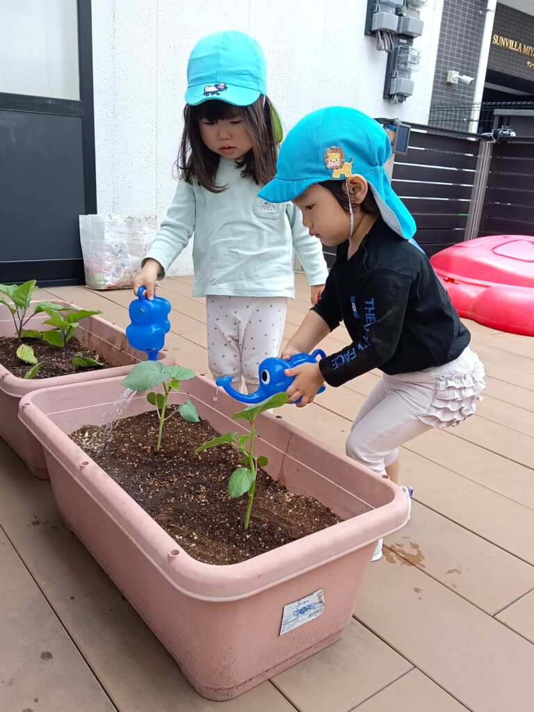 保育園の食育で夏野菜苗植え 大阪 くじら保育園 202605-4