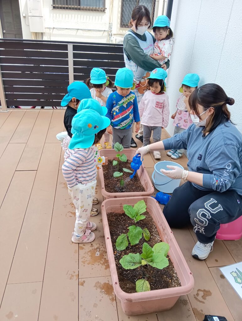 保育園の食育で夏野菜苗植え 大阪 くじら保育園 202605-3