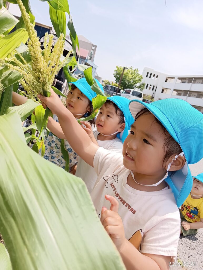 おおぞら保育園 西明石園　新規園　保育園　明石　2027年度　一斉募集　5