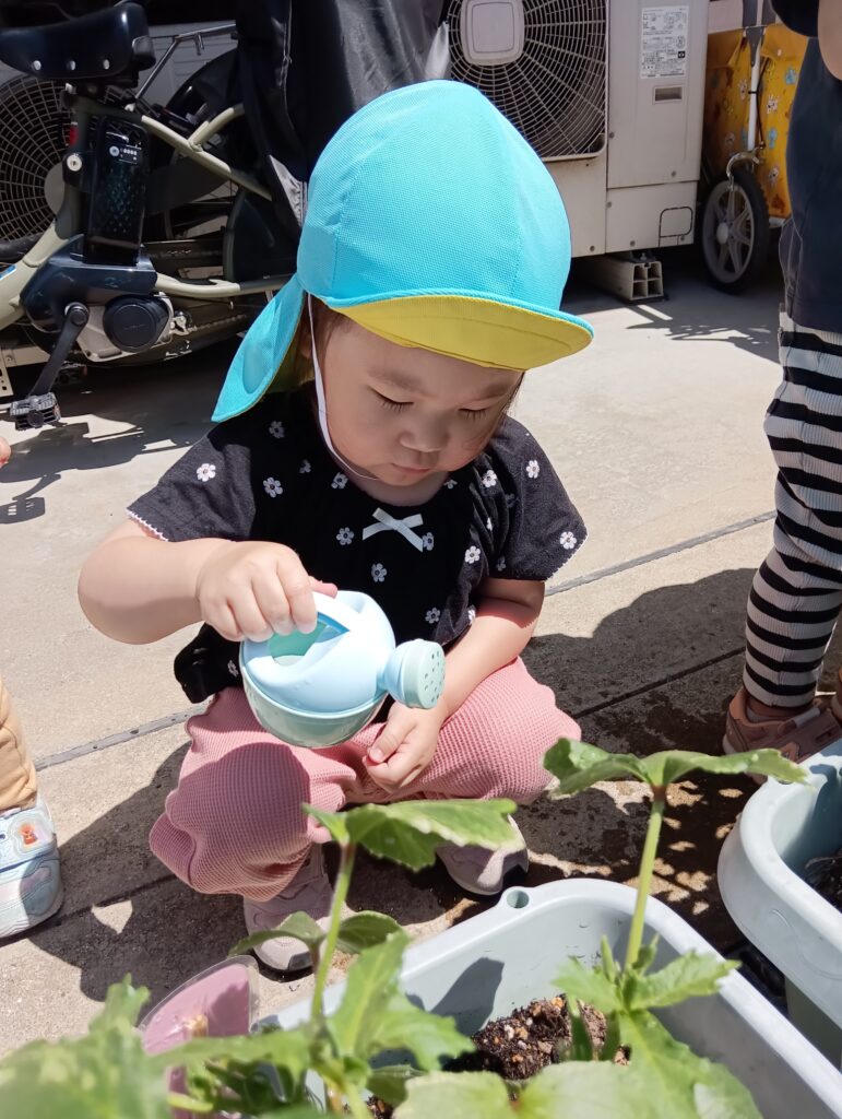 おおぞら保育園 西明石園　新規園　保育園　明石　2027年度　一斉募集　10