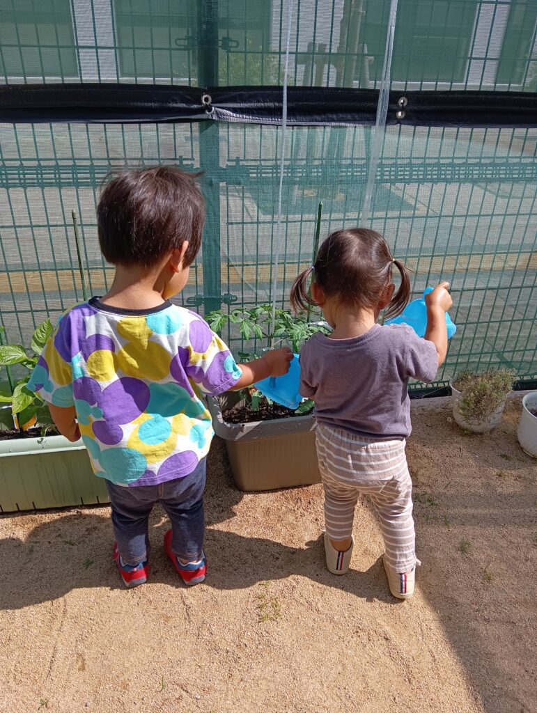 おおぞら保育園　西新町園　紹介2024-12