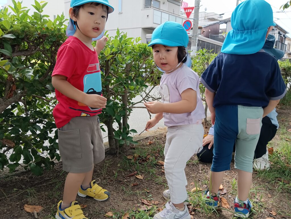 おおぞら保育園　西新町園　紹介2024-6