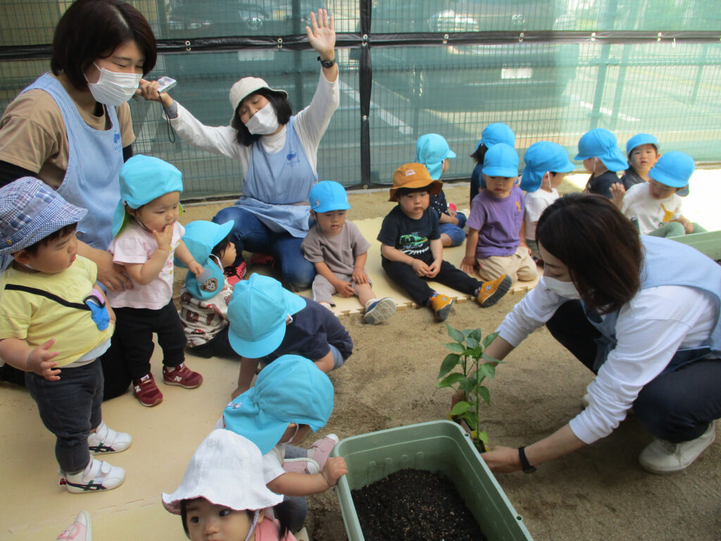 おおぞら保育園　西新町園　紹介2024-14