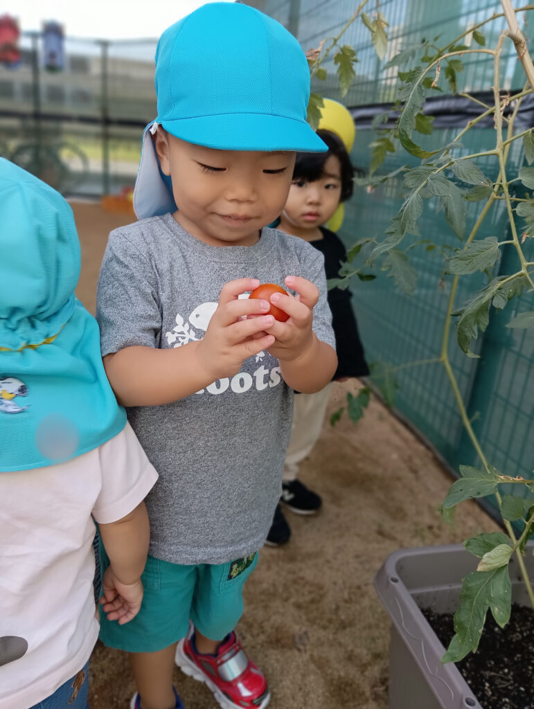 おおぞら保育園　西新町園　紹介2024-9