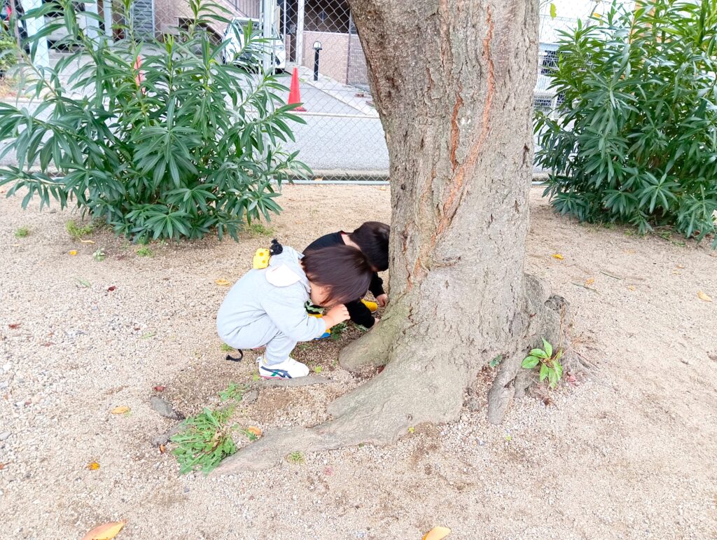 おおぞら保育園　西新町園　ハロウィン　親子イベント　202411-5