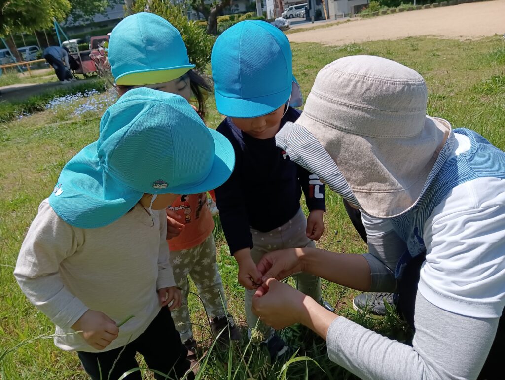 公園　園庭　初夏　自然　アリ　シャボン玉　おおぞら保育園　明石　西新町　202505-4