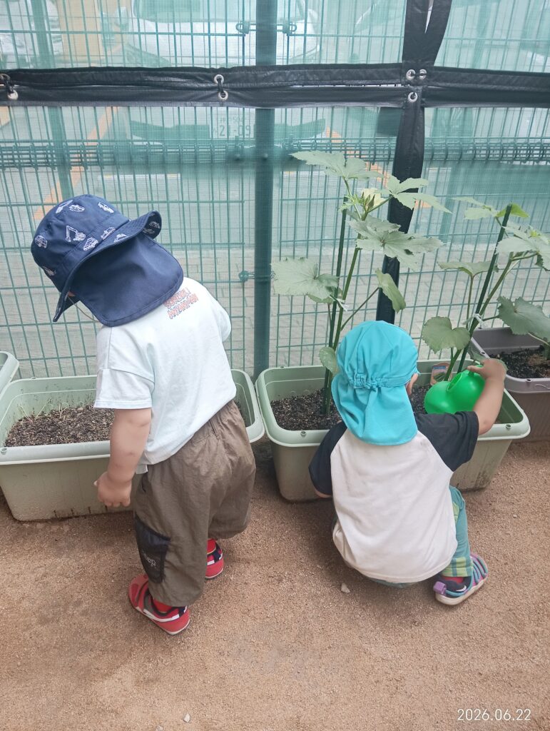 明石　保育園　おおぞら保育園　西新町　9