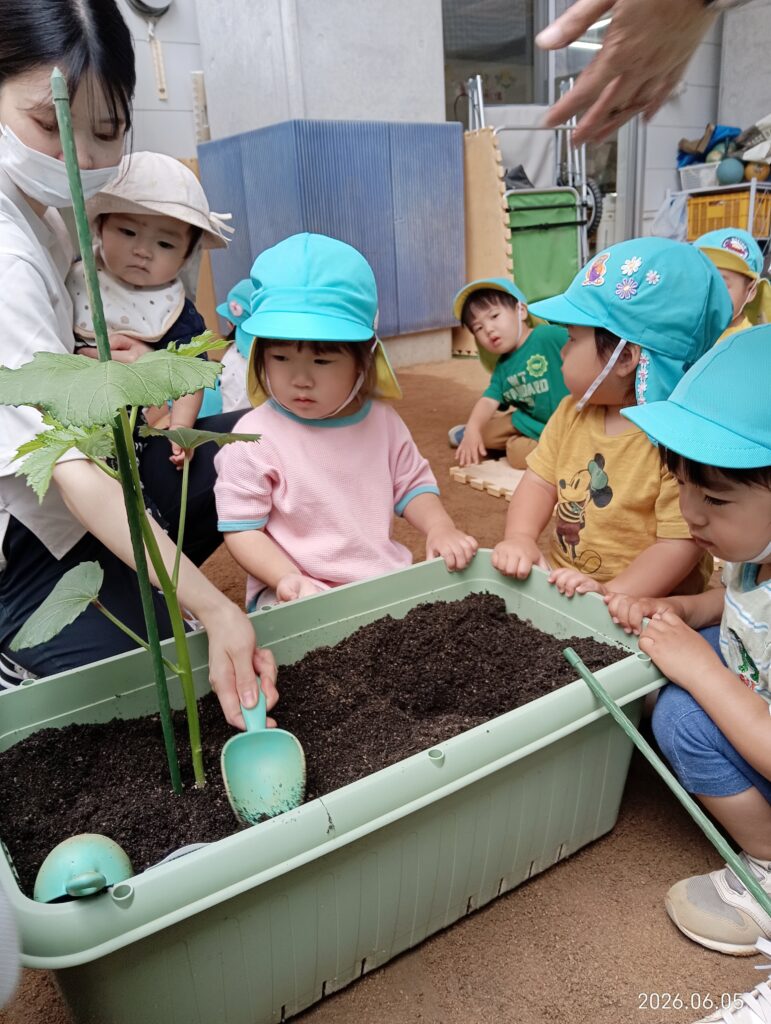 明石　保育園　おおぞら保育園　西新町　8