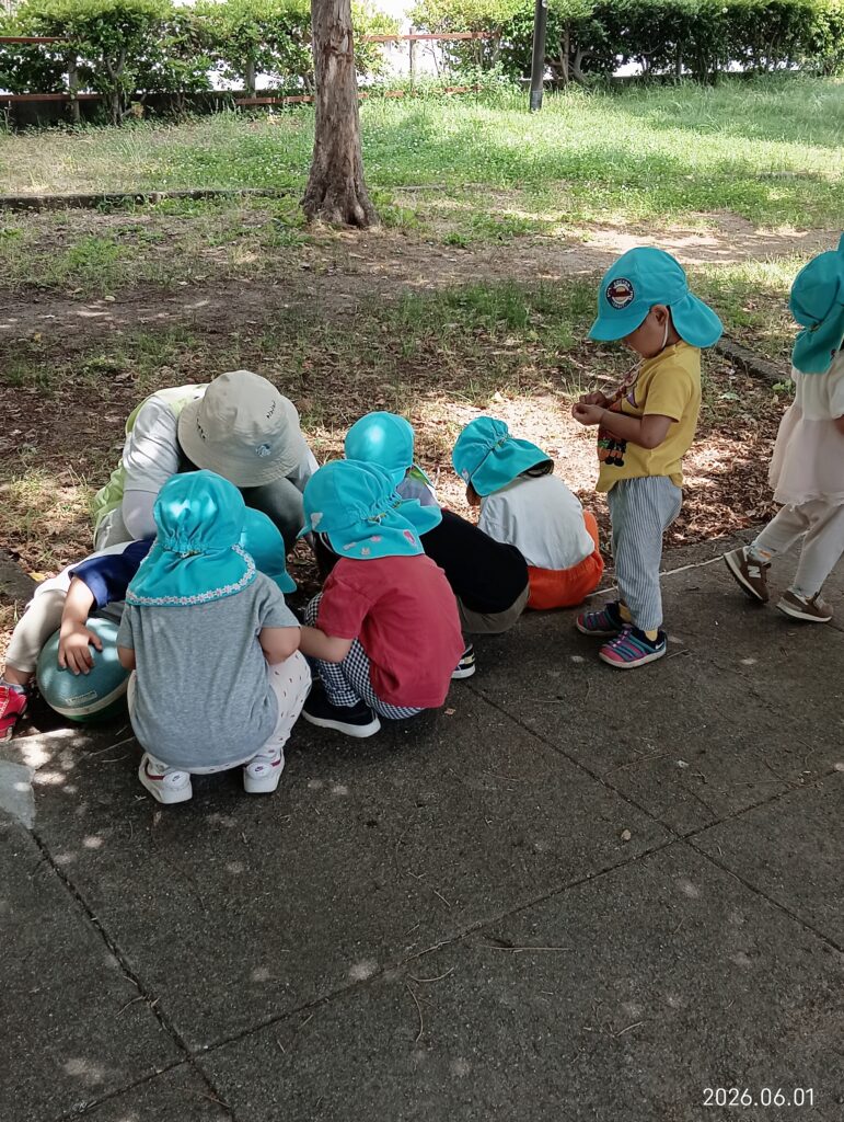 明石　保育園　おおぞら保育園　西新町　4