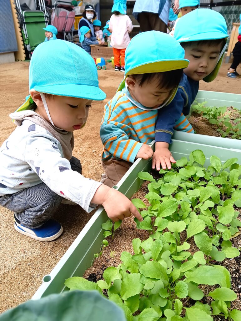 園庭のある保育園　明石　おおぞら保育園　202604-5