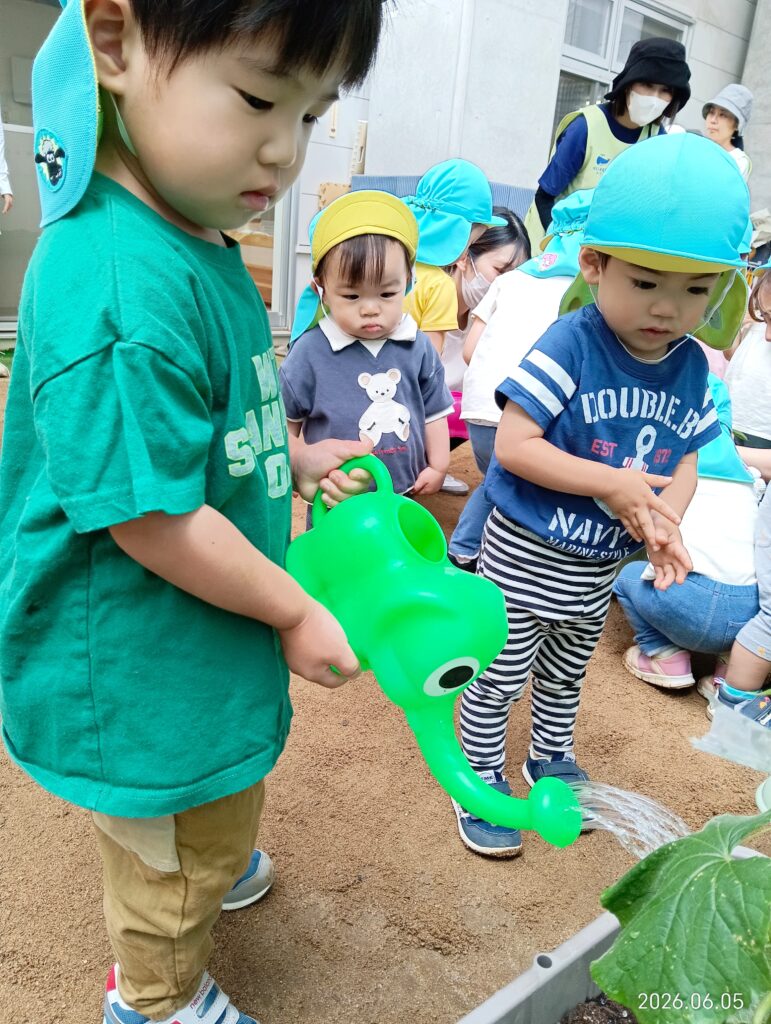 保育園で夏野菜の苗植え体験 食育 明石 おおぞら保育園 202606-4