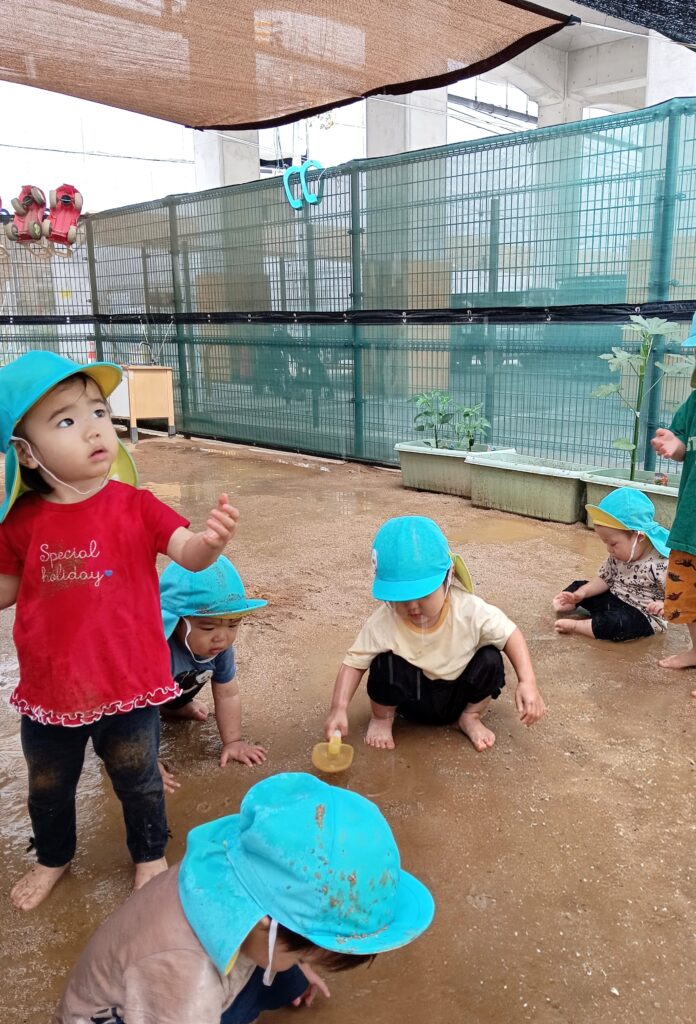 保育園の園庭　泥あそび　明石　おおぞら保育園　202607-2