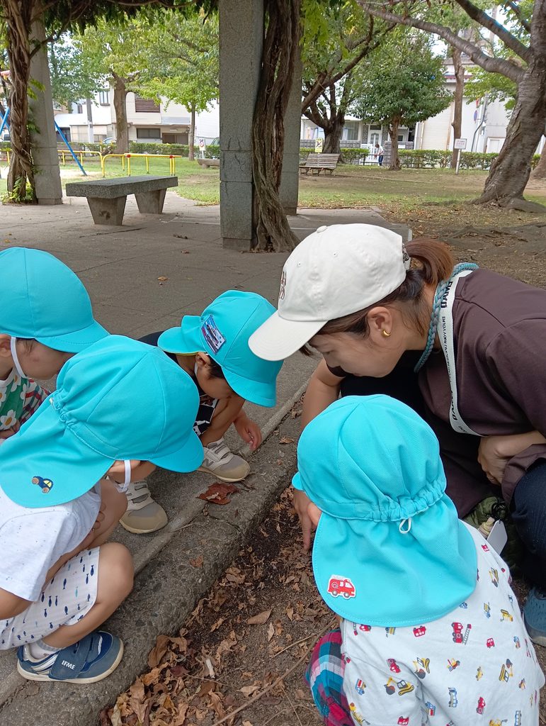 保育参観 明石 保育園 おおぞら保育園202610-3