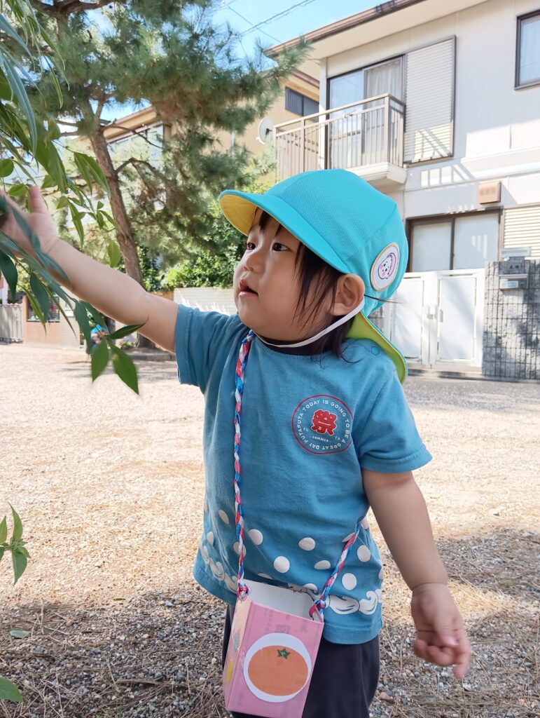 くじら保育園　吹田豊津園　お散歩2024-7